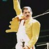 Freddie Mercury Tribute Concert Jacket - Image 4